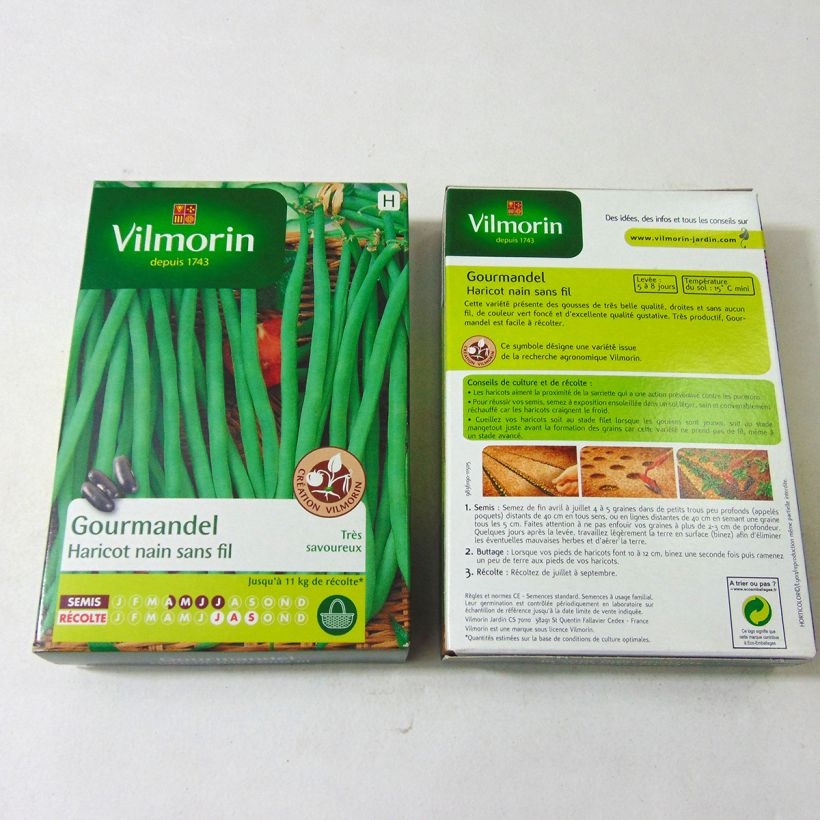 Example of Zwergbohne Gourmandel - Vilmorin per pack of 200 seeds (100g) as you get