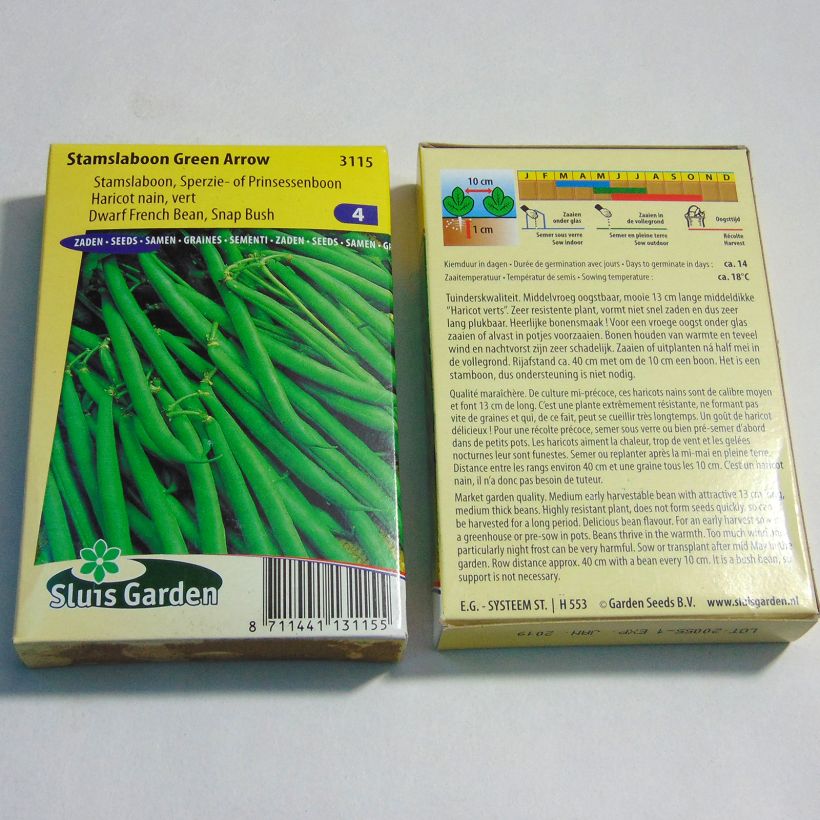 Example of Zwergbohne Green Arrow per pack of 150 seeds (75g) as you get