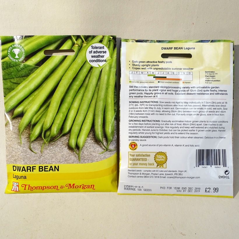 Example of Zwergbohne Laguna per pack of 100 seeds as you get