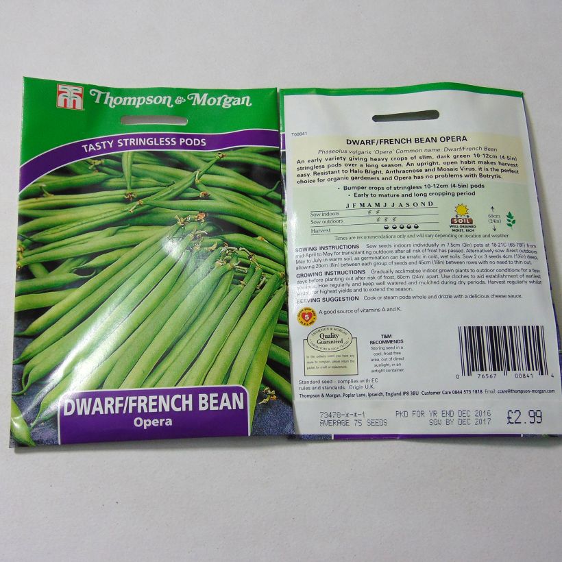 Example of Zwergbohne Opera per pack of 75 seeds as you get
