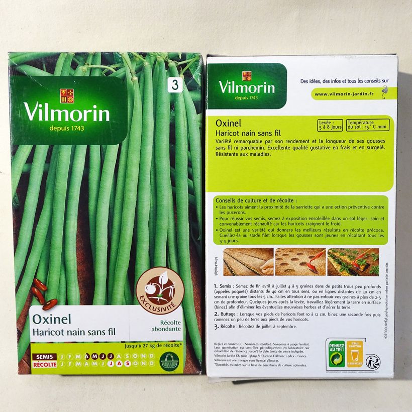 Example of Zwergbohne Oxinel - Vilmorin per pack of 400 seeds (200g) as you get