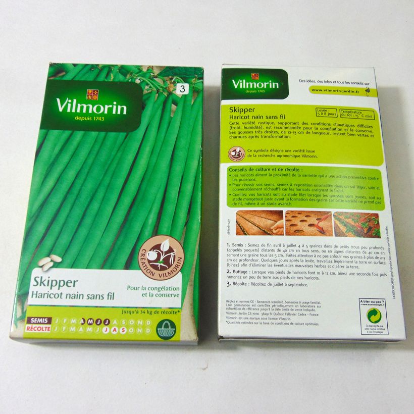 Example of Zwergbohne Skipper - Vilmorin per pack of 400 seeds (200g) as you get