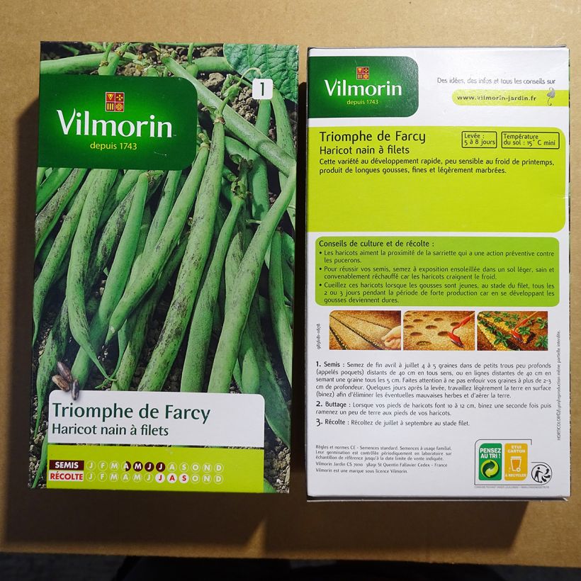 Example of Zwergbohne Triomphe de Farcy - Vilmorin per pack of 500 seeds (250g) as you get