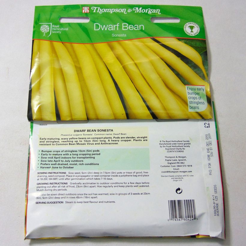 Example of Zwergbohne Sonesta per pack of 125 seeds as you get