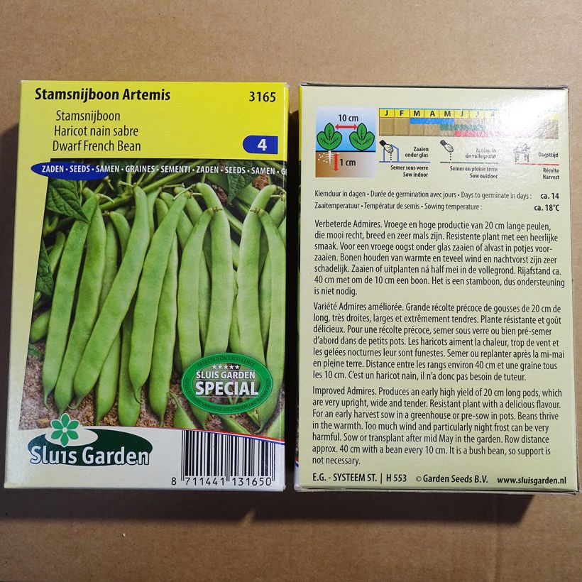 Example of Zwergbohne Artemis per pack of 200 seeds (100g) as you get