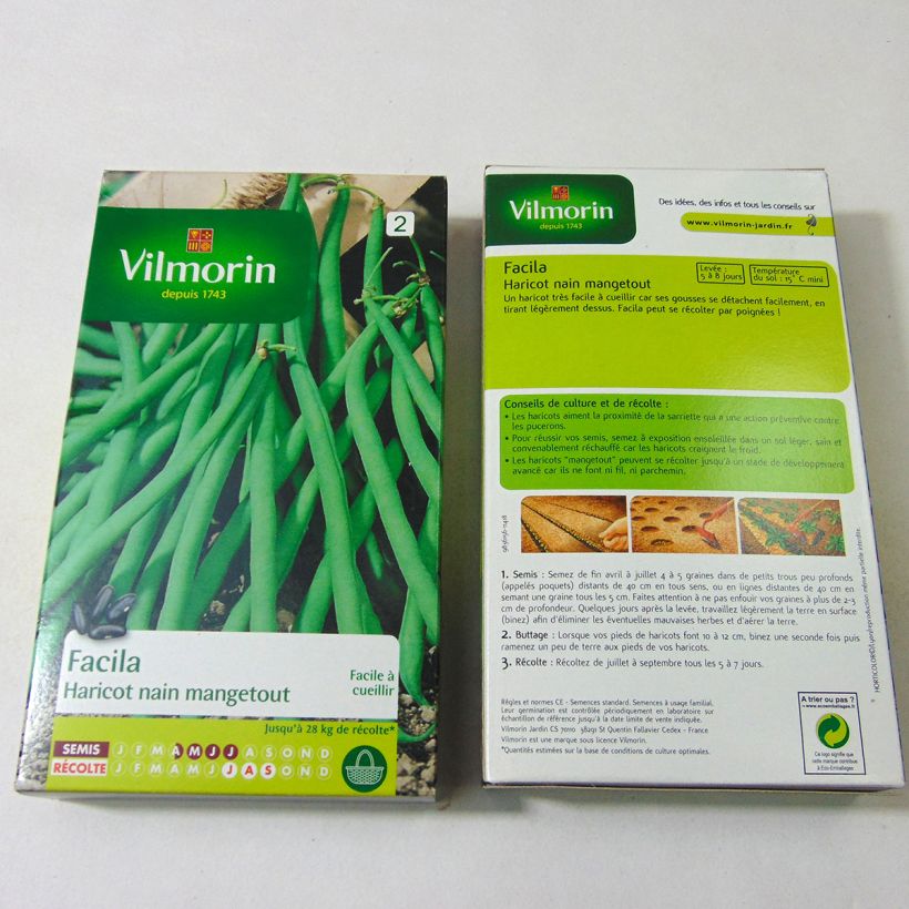 Example of Zwergbohne Facila - Vilmorin per pack of 400 seeds (200g) as you get