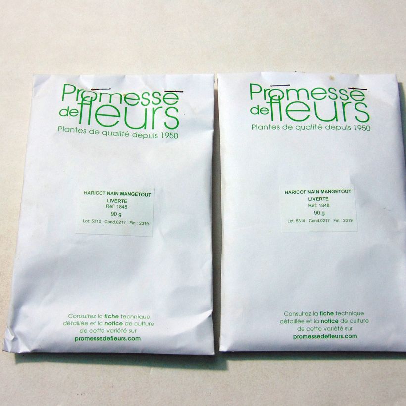 Example of Zwergbohne Liverte per pack of 180 seeds (90g) as you get