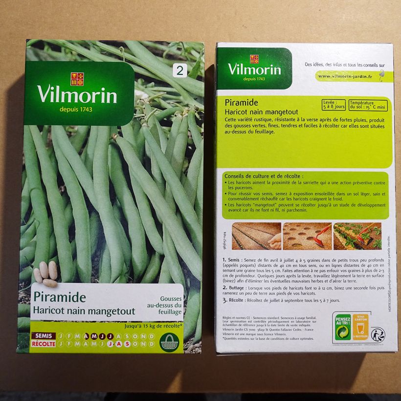 Example of Buschbohne Piramide - Vilmorin per pack of 400 seeds (200g) as you get