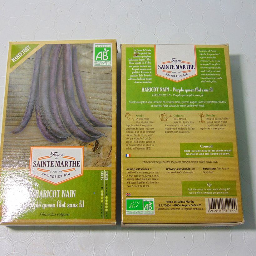 Example of Zwergbohne Purple Queen Bio per pack of 160 seeds (80g) as you get