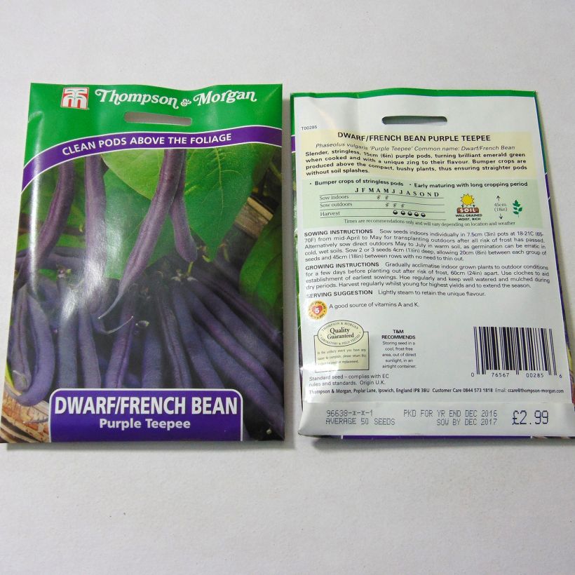 Example of Zwergbohne Purple Teepee per pack of 50 seeds as you get