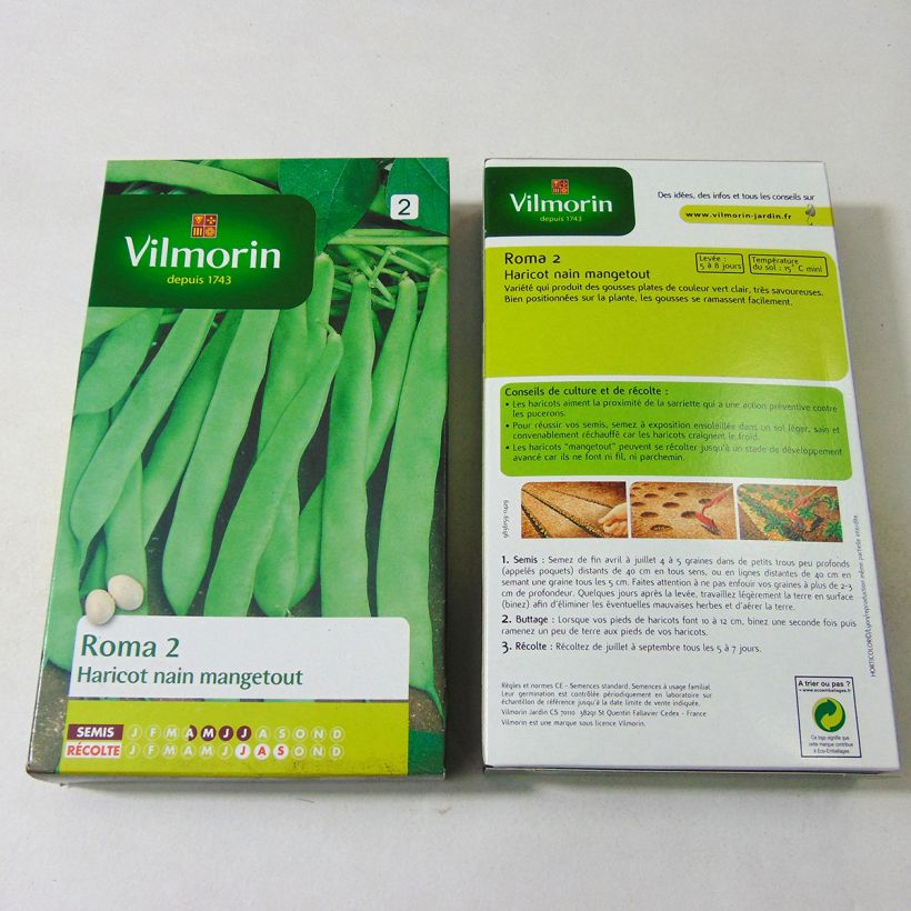 Example of Zwergbohne Roma 2 - Vilmorin per pack of 300 seeds (150g) as you get