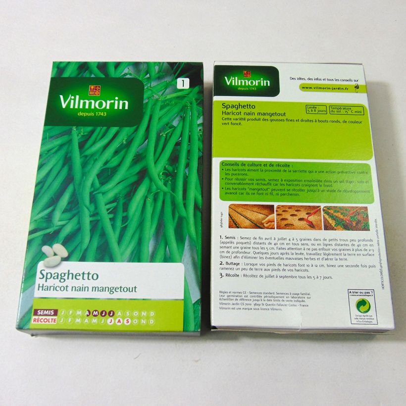 Example of Zwergbohne Spaghetto - Vilmorin per pack of 350 seeds (175g) as you get
