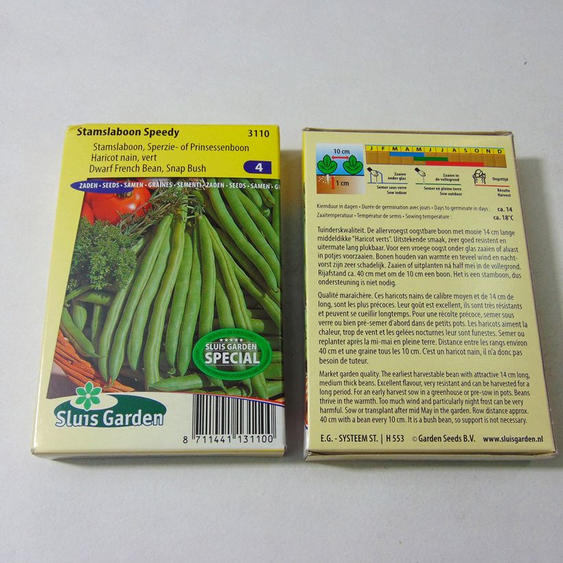 Example of Zwergbohne Speedy per pack of 120 seeds (60g) as you get