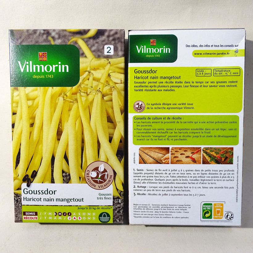 Example of Zwergbohne Goussdor - Vilmorin per pack of 400 seeds (200g) as you get