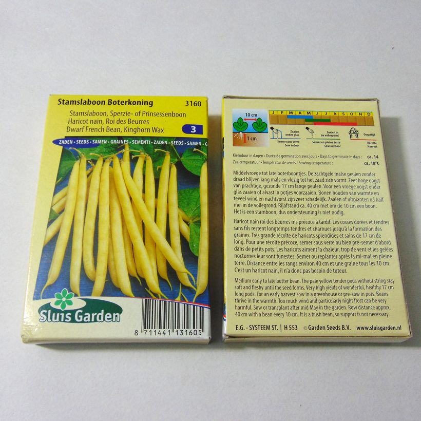 Example of Zwergbohne Roi des Beurres per pack of 180 seeds (90g) as you get