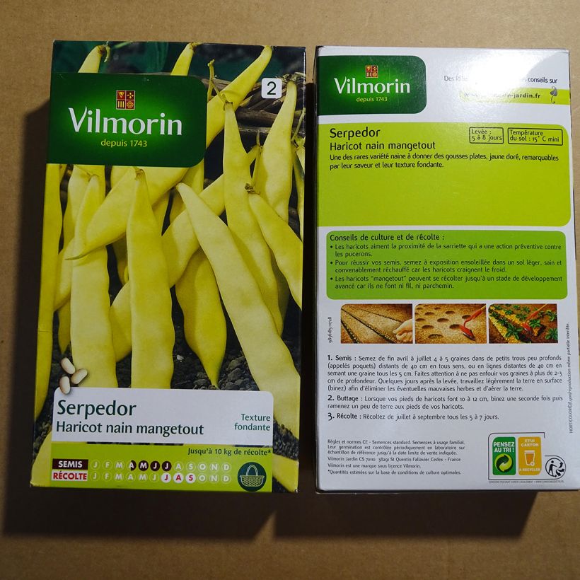 Example of Zwergbohne Serpedor - Vilmorin per pack of 400 seeds (200g) as you get