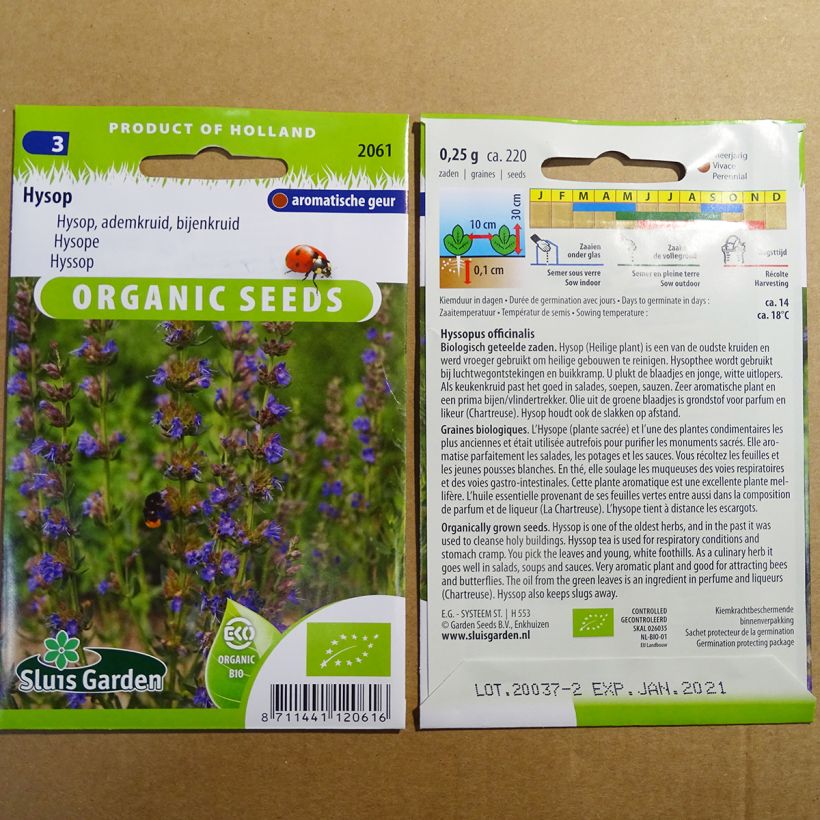 Example of Ysop Bio - Hyssopus officinalis per pack of 220 seeds (0.25g) as you get