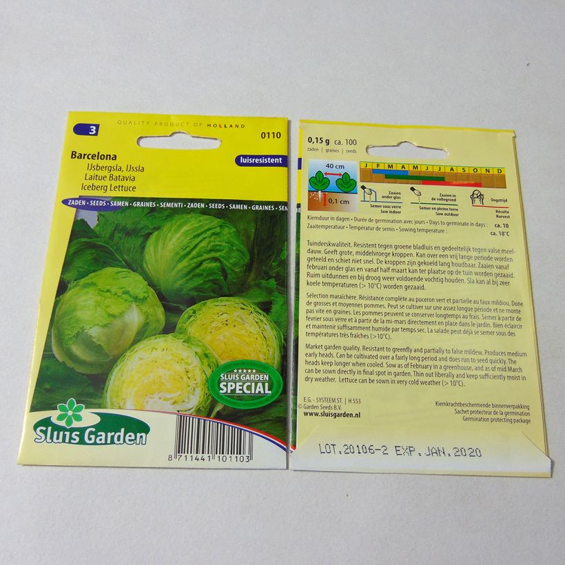 Example of Bataviasalat Barcelona per pack of 100 seeds as you get