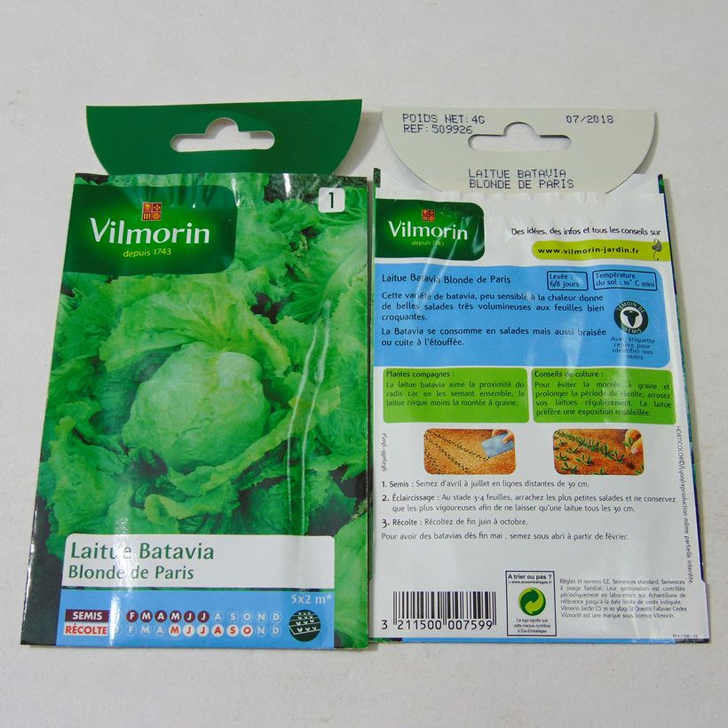 Example of Bataviasalat Blonde de Paris - Vilmorin per pack of 3200 seeds (4g) as you get