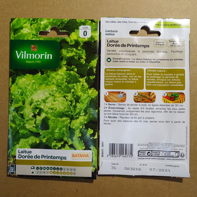 Example of Bataviasalat Dorée de Printemps - Vilmorin per pack of 2400 seeds (3g) as you get
