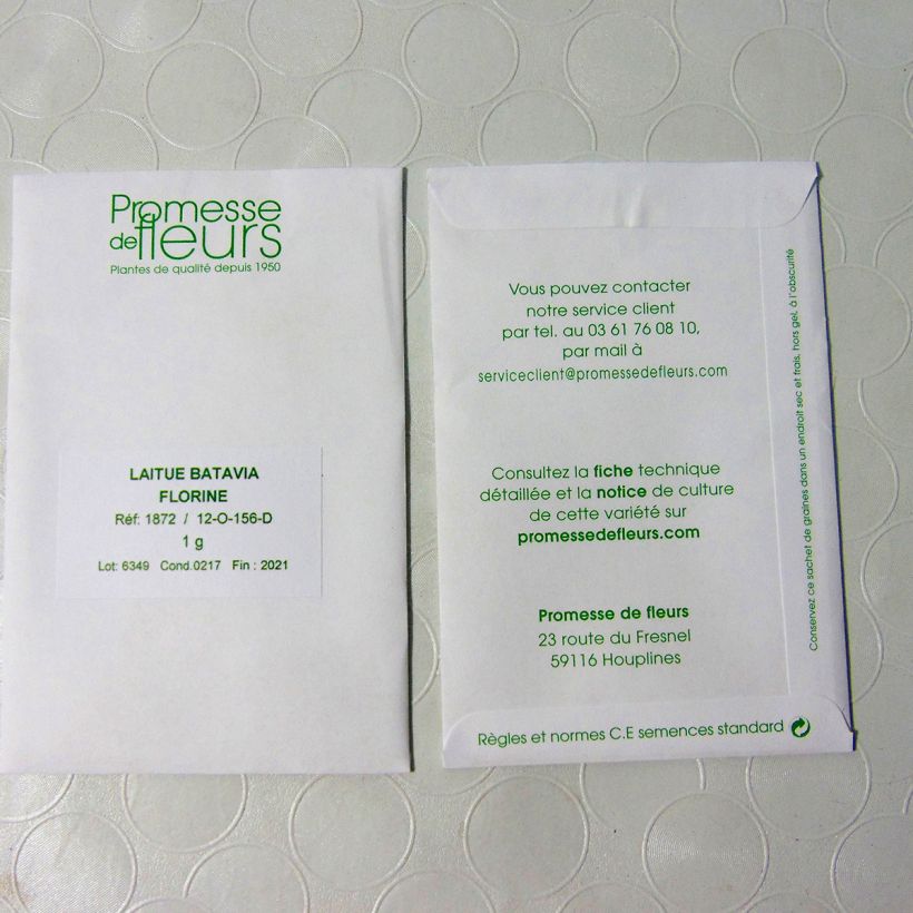 Example of Bataviasalat Florine per pack of 800 seeds (1g) as you get