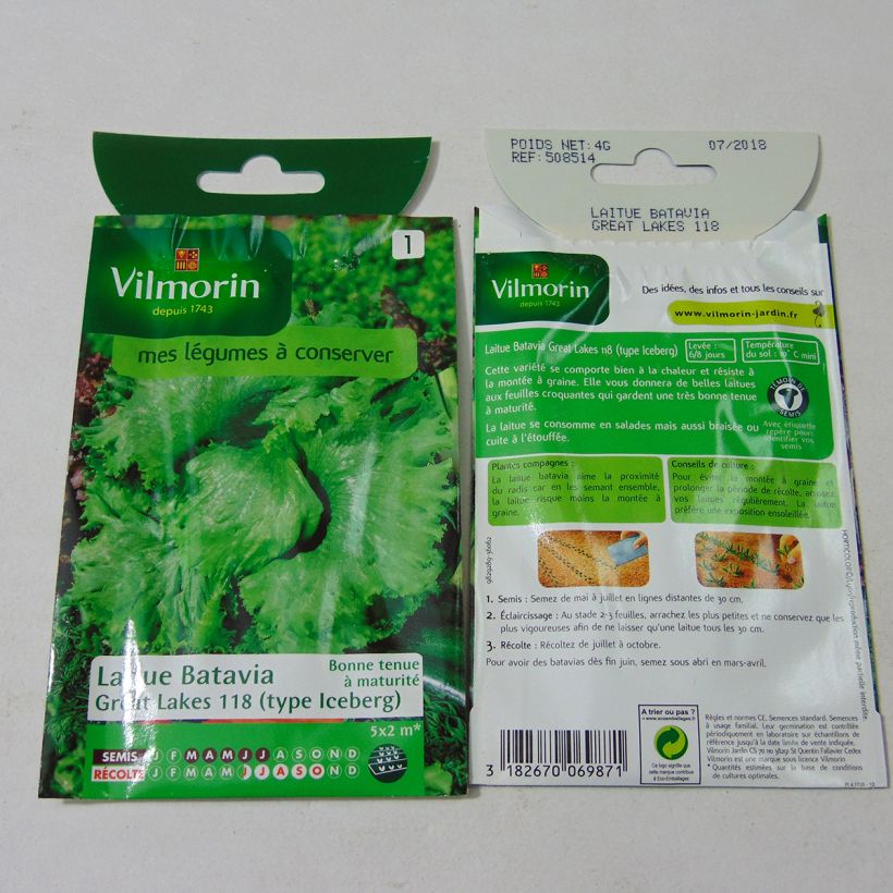 Example of Bataviasalat Great Lakes 118 - Vilmorin per pack of 3200 seeds (4g) as you get