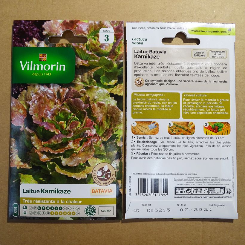 Example of Bataviasalat Kamikaze - Vilmorin per pack of 3200 seeds (4g) as you get