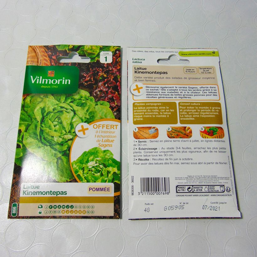 Example of Bataviasalat Kinemontepas - Vilmorin per pack of 3200 seeds (4g) as you get