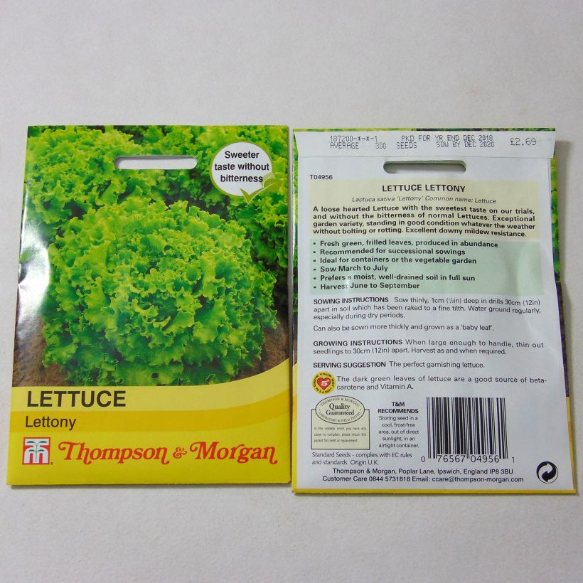 Example of Bataviasalat Lettony per pack of 300 seeds as you get