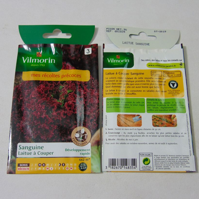 Example of Bataviasalat Sanguine per pack of 2400 seeds (3g) as you get