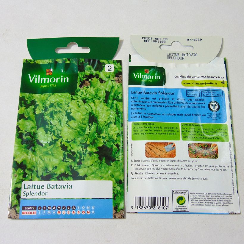 Example of Bataviasalat Splendor per pack of 1600 seeds (2g) as you get