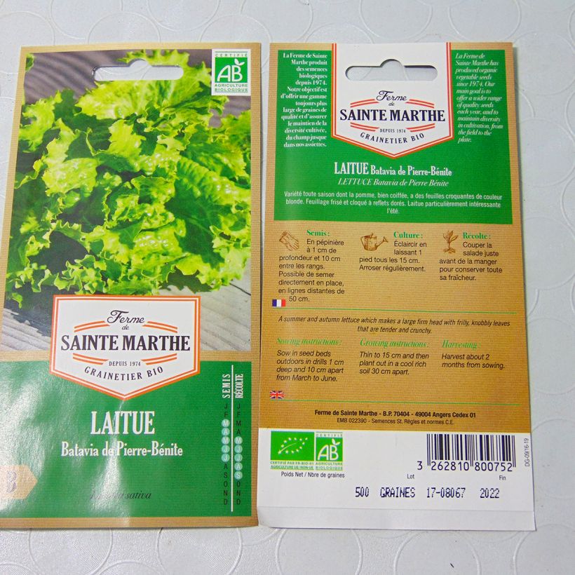 Example of Bataviasalat Pierre Bénite Bio - Ferme de Sainte Marthe per pack of 500 seeds (3g) as you get