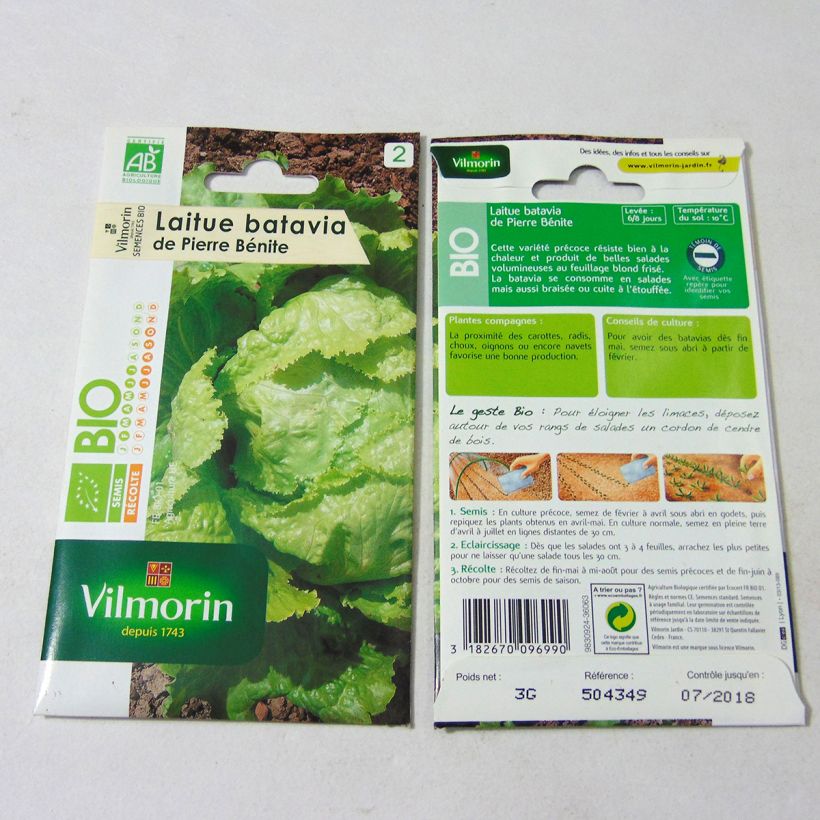 Example of Bataviasalat Pierre Bénite Bio per pack of 2400 seeds (3g) as you get