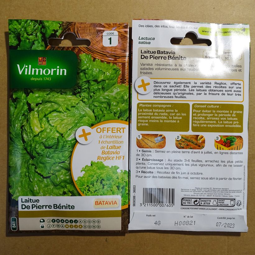 Example of Bataviasalat Pierre Bénite - Vilmorin per pack of 3200 seeds (4g) as you get
