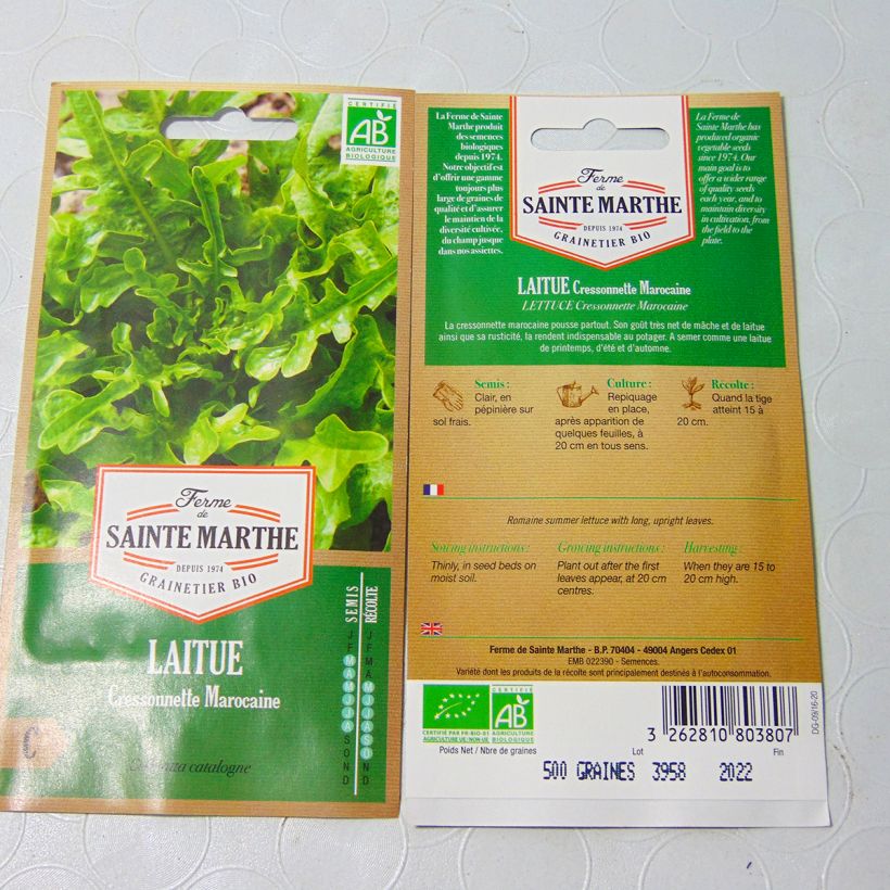 Example of Schnitt-Salat Radichetta Bio - Ferme de Sainte Marthe per pack of 400 seeds as you get