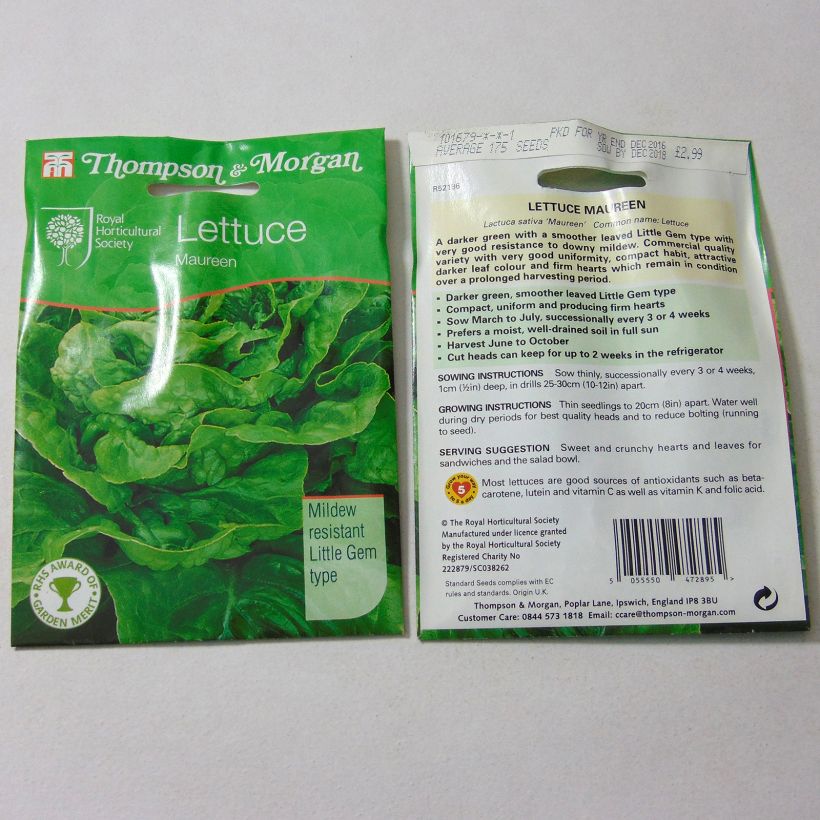 Example of Kopfsalat Maureen per pack of 175 seeds as you get