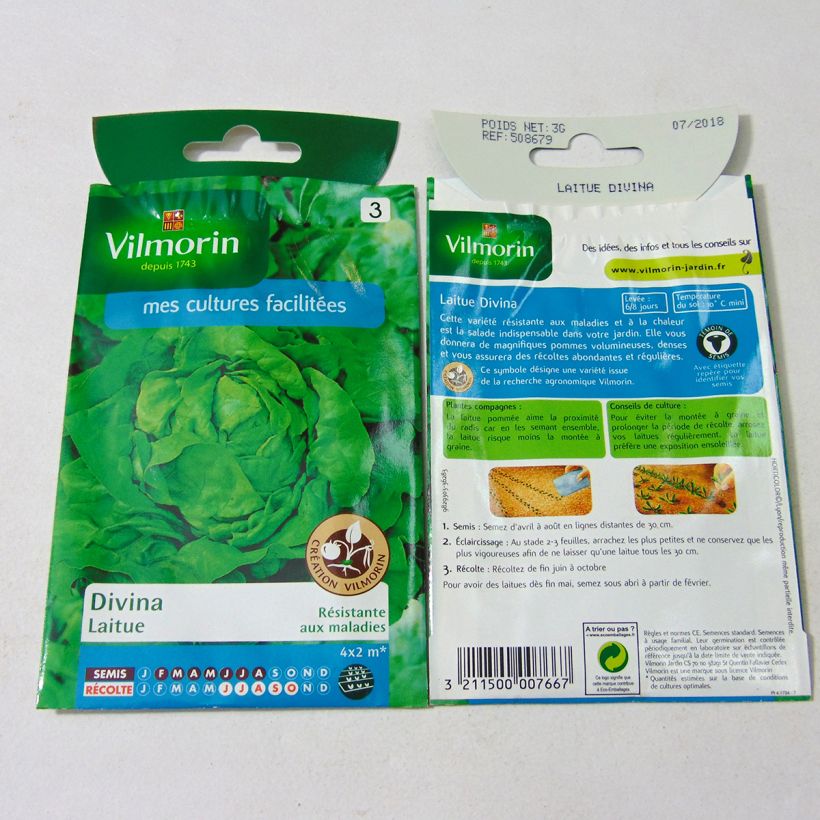 Example of Kopfsalat Divina - Vilmorin per pack of 2400 seeds (3g) as you get