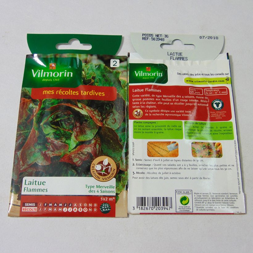 Example of Kopfsalat Flammes per pack of 2400 seeds (3g) as you get