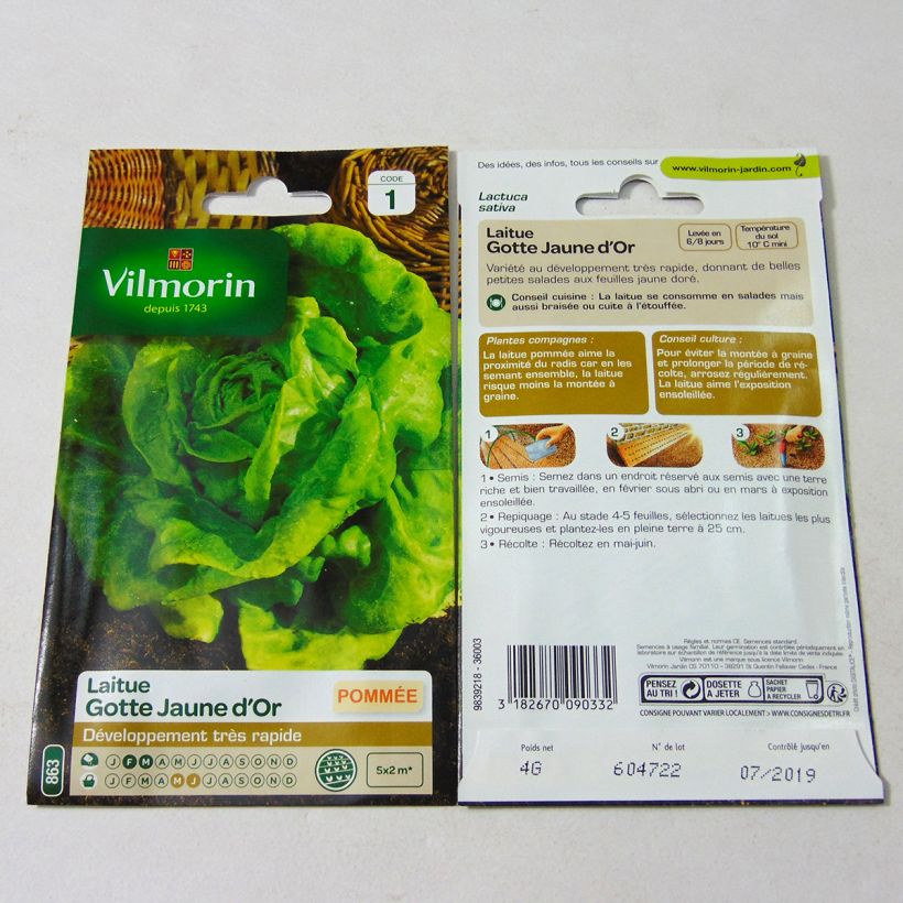 Example of Kopfsalat Gotte Jaune (Gotte dorée) per pack of 3200 seeds (4g) as you get