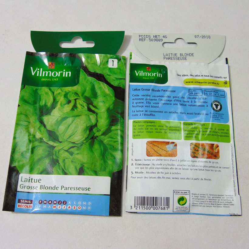 Example of Kopfsalat Grosse Blonde Paresseuse - Vilmorin per pack of 3200 seeds (4g) as you get