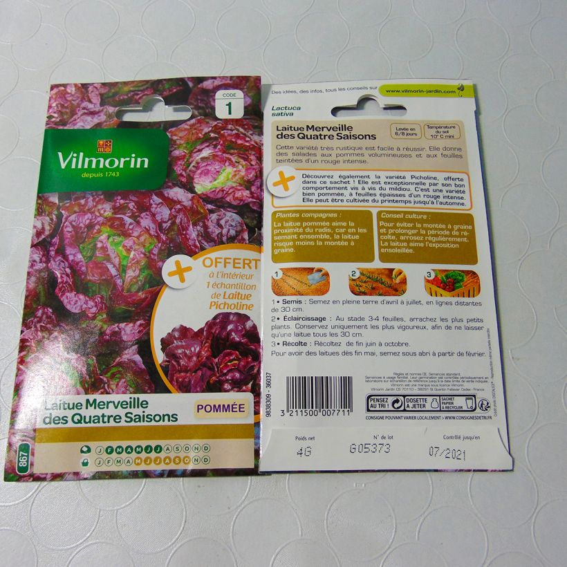 Example of Kopfsalat Merveille des Quatre saisons per pack of 3200 seeds (4g) as you get