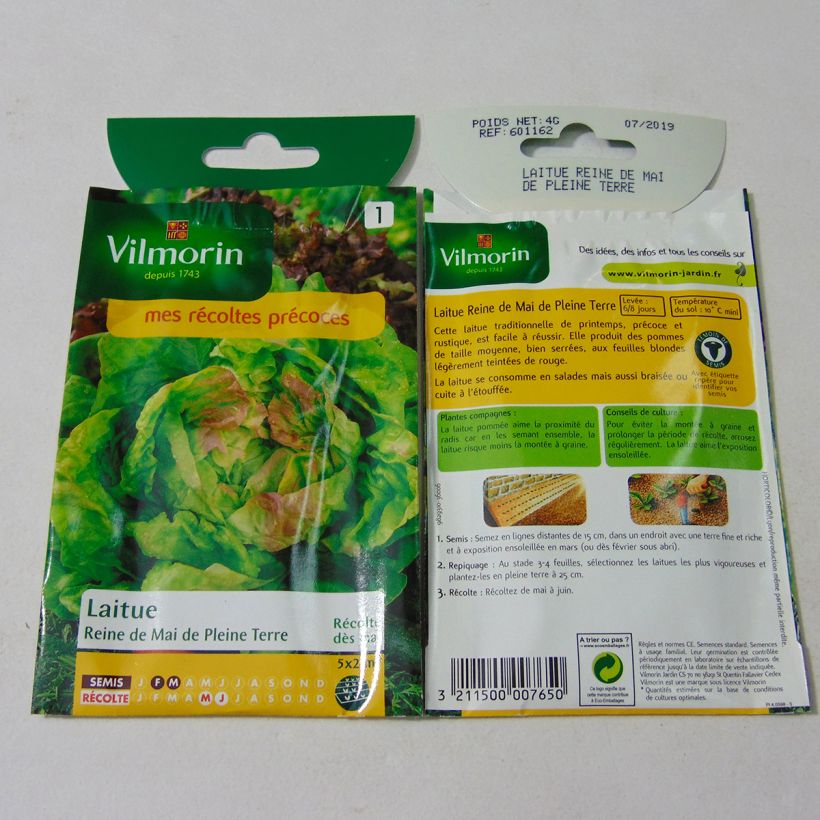 Example of Kopfsalat Reine de Mai - Vilmorin per pack of 3200 seeds (4g) as you get