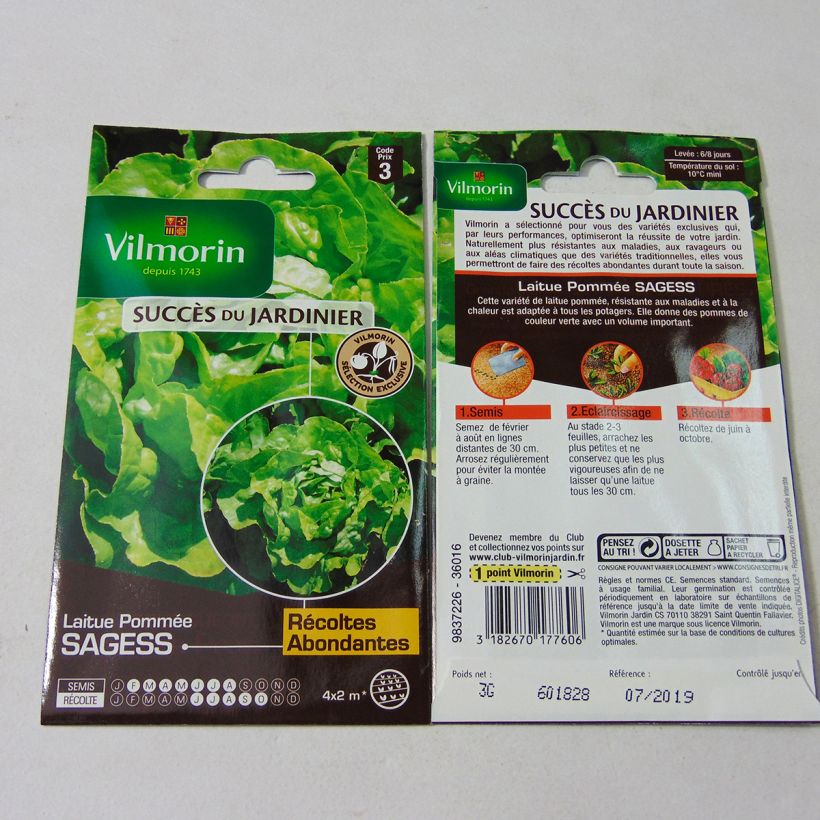 Example of Kopfsalat Sagess per pack of 2400 seeds (3g) as you get