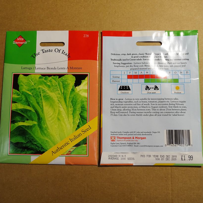 Example of Römersalat Bionda Lenta a Montare per pack of 4800 seeds as you get