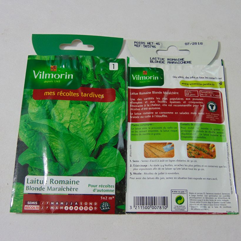 Example of Römersalat Romaine Blonde Maraîchère - Vilmorin per pack of 3200 seeds (4g) as you get