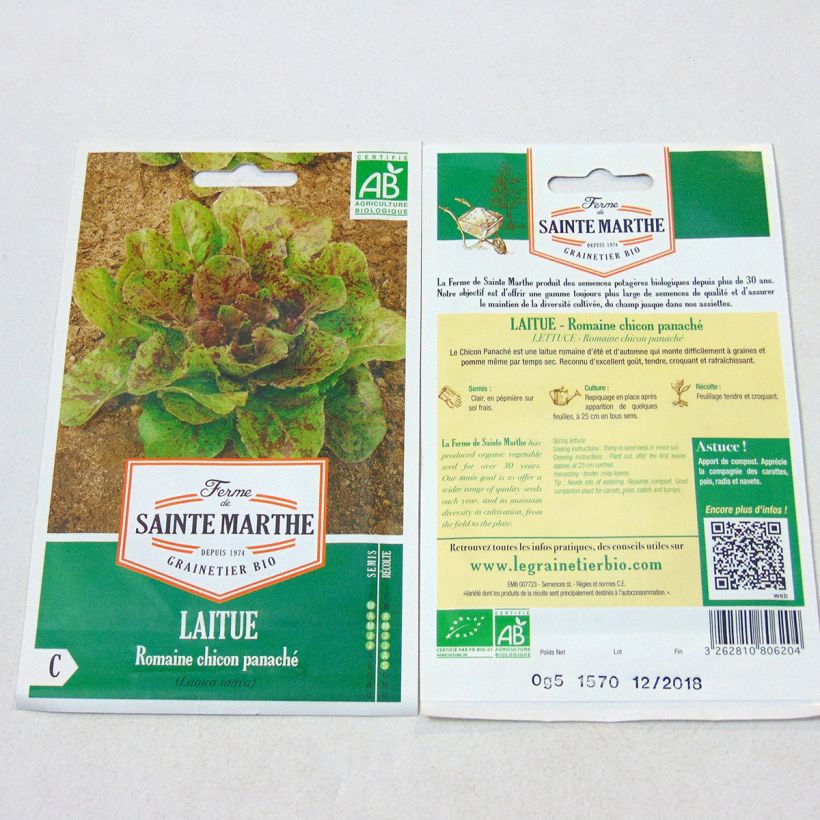 Example of Römersalat Chicon Panaché Bio - Ferme de Sainte Marthe per pack of 450 seeds as you get