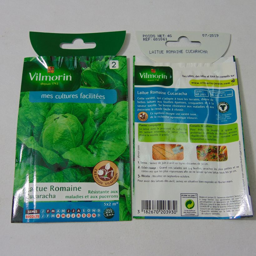 Example of Römersalat Cucaracha - Vilmorin per pack of 3200 seeds (4g) as you get