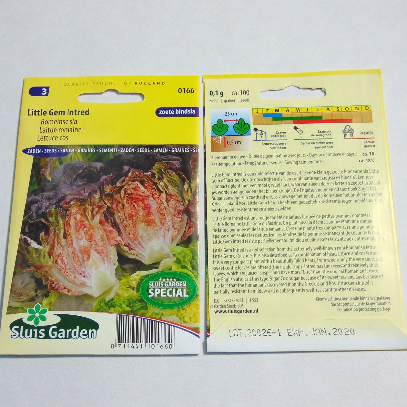 Example of Römersalat Little Gem Intred per pack of 100 seeds as you get