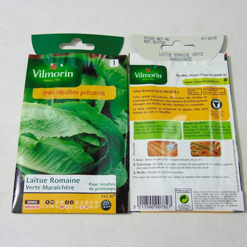 Example of Römersalat Verte maraîchère per pack of 3200 seeds (4g) as you get