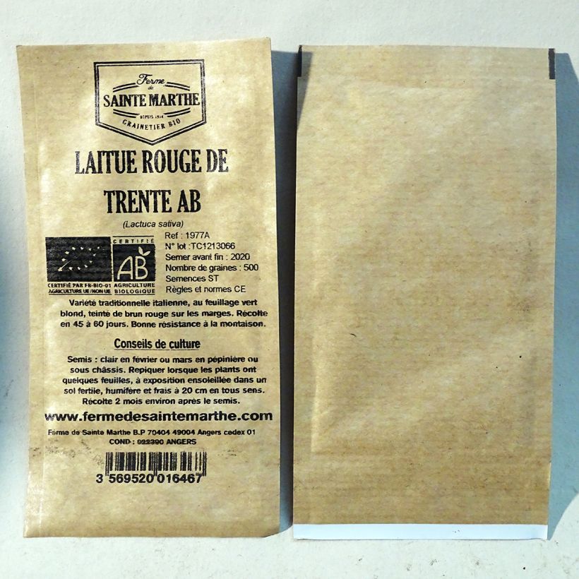 Example of Bataviasalat Rouge de Trente - Rossa di Trento Bio per pack of 500 seeds as you get